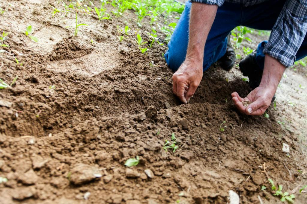 Whatever a person sows that is what he will harvest